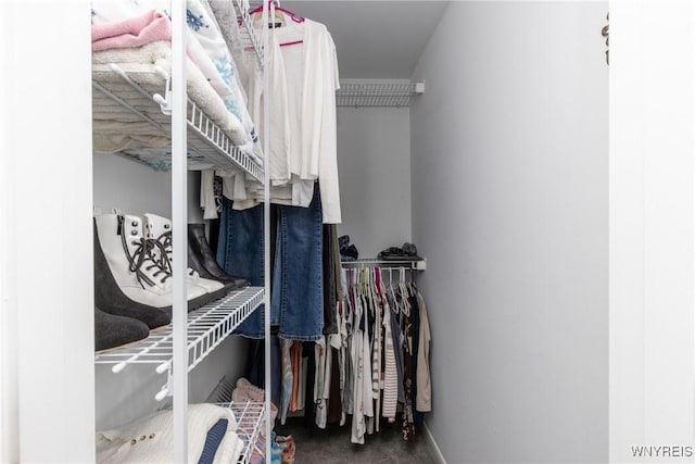 195 Robert Dr, North Tonawanda, NY 14120 - walk in closet featuring carpet floors