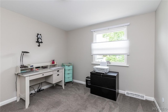 195 Robert Dr, North Tonawanda, NY 14120 - carpeted office with baseboards