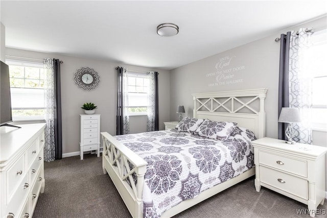 195 Robert Dr, North Tonawanda, NY 14120 - bedroom featuring dark colored carpet and multiple windows