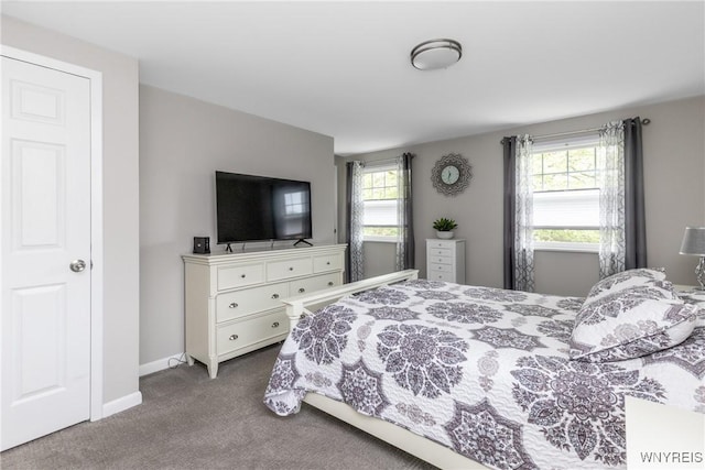 195 Robert Dr, North Tonawanda, NY 14120 - bedroom featuring carpet and baseboards