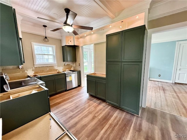 140 Maple St, Le Ray, NY 13612 - kitchen featuring green cabinets, ceiling fan, light wood-type flooring, wooden ceiling with exposed beams, and ornamental molding