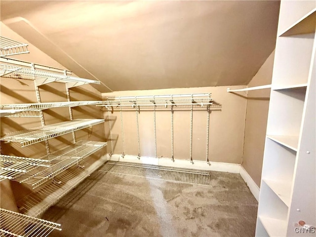 140 Maple St, Le Ray, NY 13612 - spacious closet with carpet flooring and lofted ceiling
