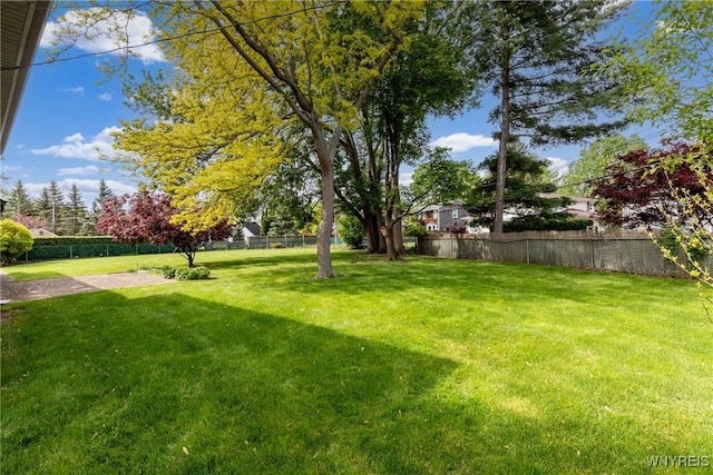 24 Glenbourne Ct, Amherst, NY 14221 - view of yard