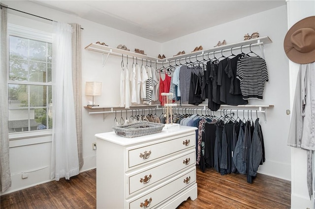 196 Elmcroft Rd, Rochester, NY 14609 - spacious closet featuring dark wood-style flooring