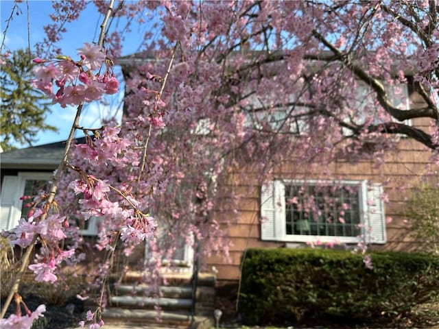 196 Elmcroft Rd, Rochester, NY 14609 - view of front of house