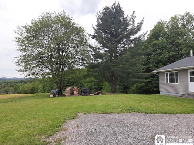 9165 Hebner Hill Rd, Otto, NY 14719 - view of green lawn
