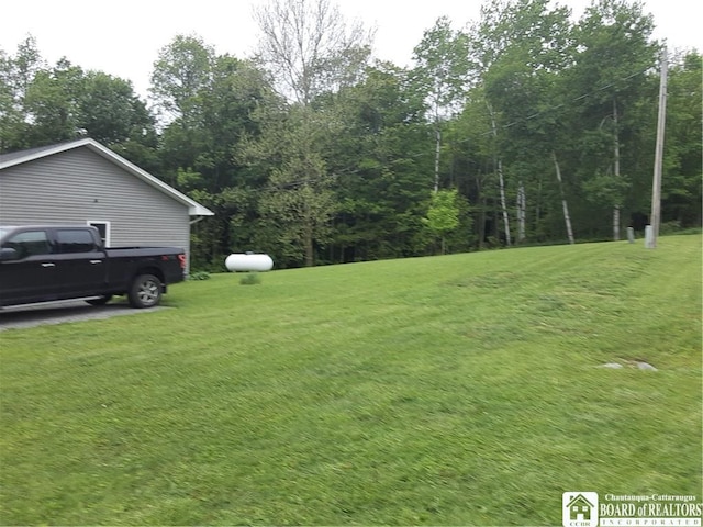9165 Hebner Hill Rd, Otto, NY 14719 - view of grassy yard