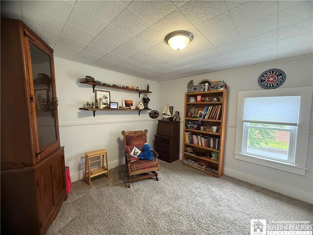 16 S Main St, Franklinville, NY 14737 - photo 39