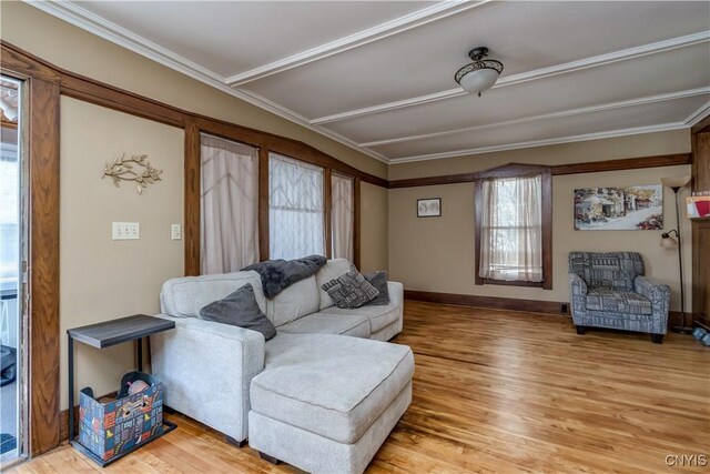 1105 Salina St, Watertown City, NY 13601 - living area featuring light wood-style flooring, baseboards, and ornamental molding