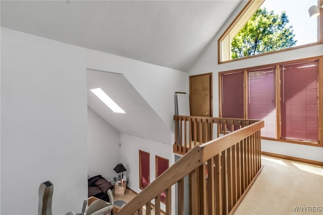 113 Meadow Spring Ln, Amherst, NY 14051 - hallway with a skylight, carpet floors, high vaulted ceiling, and an upstairs landing