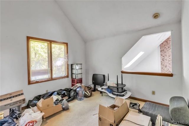 113 Meadow Spring Ln, Amherst, NY 14051 - bonus room with lofted ceiling and carpet flooring
