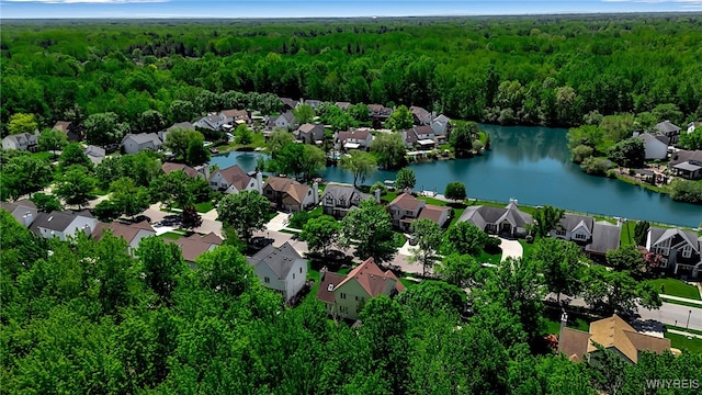 113 Meadow Spring Ln, Amherst, NY 14051 - aerial view of residential area featuring a forest and a large body of water