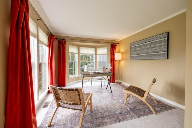 717 Westwood Trl, Walworth, NY 14502 - carpeted office space with crown molding and baseboards