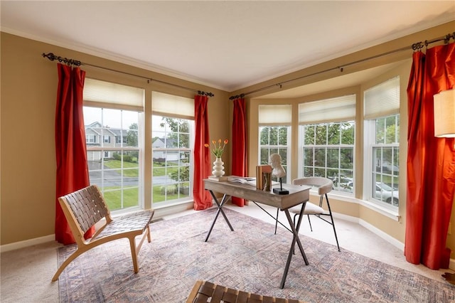 717 Westwood Trl, Walworth, NY 14502 - home office featuring baseboards, carpet flooring, and crown molding