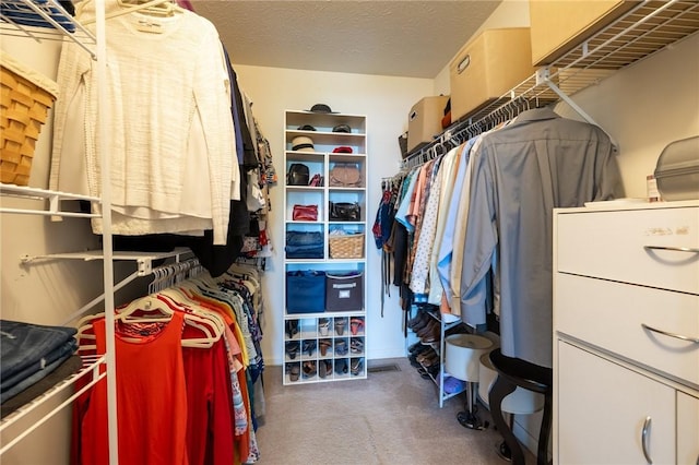 717 Westwood Trl, Walworth, NY 14502 - walk in closet featuring carpet flooring