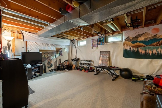 717 Westwood Trl, Walworth, NY 14502 - workout area with electric panel and carpet