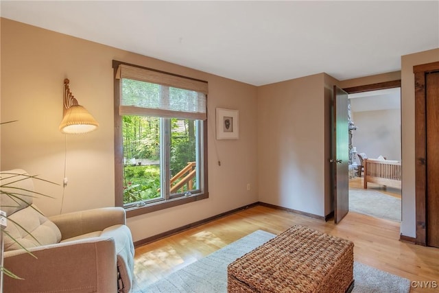 8807 Wandering Way, Lysander, NY 13027 - living area with light wood-style floors and baseboards