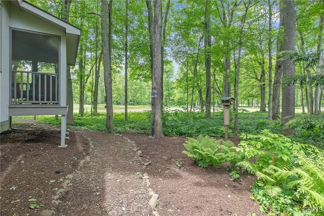 8807 Wandering Way, Lysander, NY 13027 - view of yard