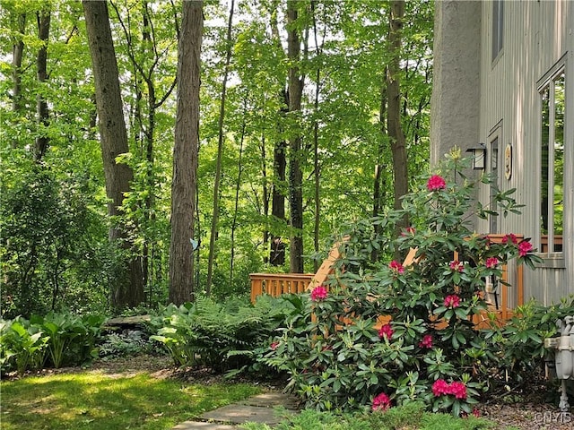 8807 Wandering Way, Lysander, NY 13027 - view of yard