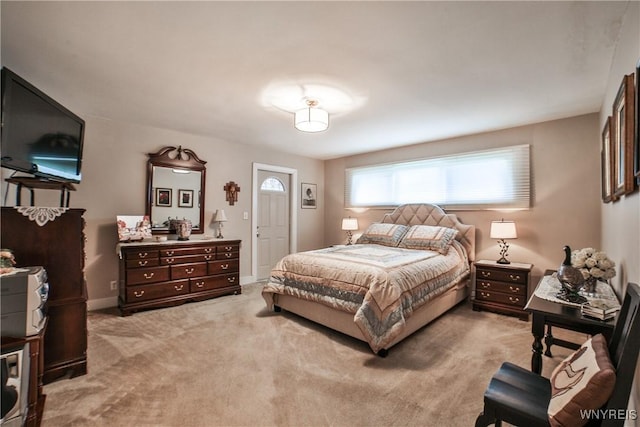 73 Stevenson Blvd, Amherst, NY 14226 - bedroom featuring light carpet and baseboards