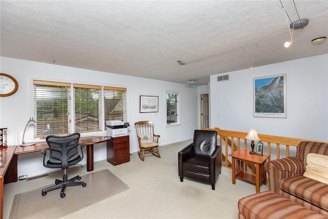 716 Mariner Cir, Webster, NY 14580 - carpeted office space featuring a textured ceiling and built in desk
