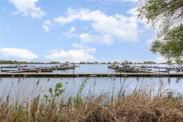 716 Mariner Cir, Webster, NY 14580 - dock with a water view