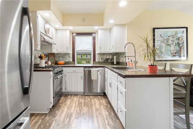 456 N Main St, Benton, NY 14527 - kitchen featuring stainless steel appliances, a sink, under cabinet range hood, dark countertops, and a peninsula
