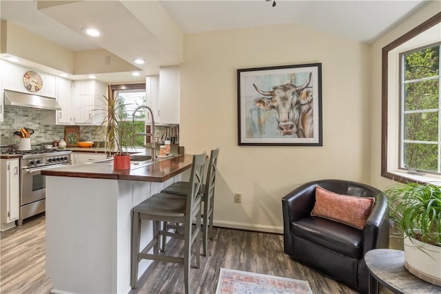 456 N Main St, Benton, NY 14527 - kitchen with high end stainless steel range, under cabinet range hood, white cabinetry, backsplash, and lofted ceiling
