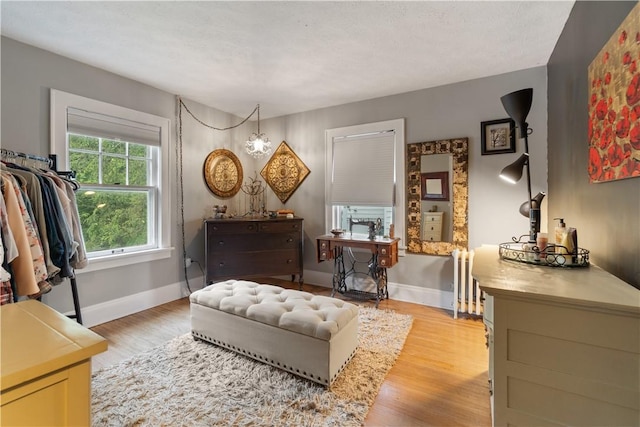 456 N Main St, Benton, NY 14527 - living area with radiator, baseboards, and light wood-type flooring