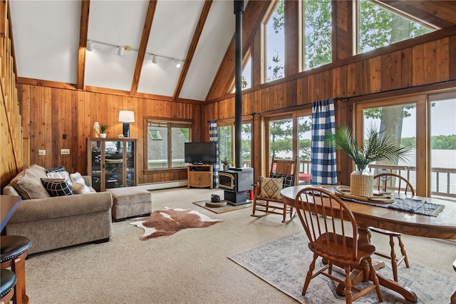 6525 Bonnie Castle Rd, Huron, NY 14590 - living room featuring a wood stove, track lighting, a baseboard heating unit, wood walls, and carpet floors