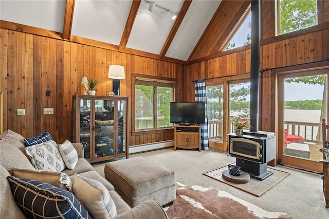 6525 Bonnie Castle Rd, Huron, NY 14590 - living area with a wood stove, baseboard heating, track lighting, beam ceiling, and wood walls