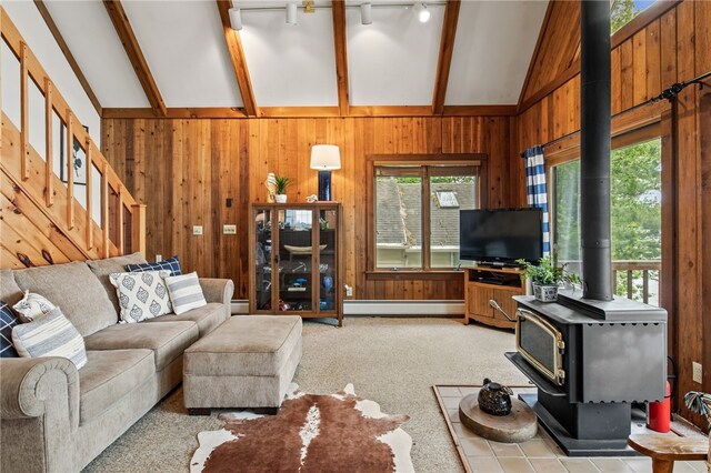 6525 Bonnie Castle Rd, Huron, NY 14590 - living area featuring a wood stove, baseboard heating, healthy amount of natural light, rail lighting, and wooden walls