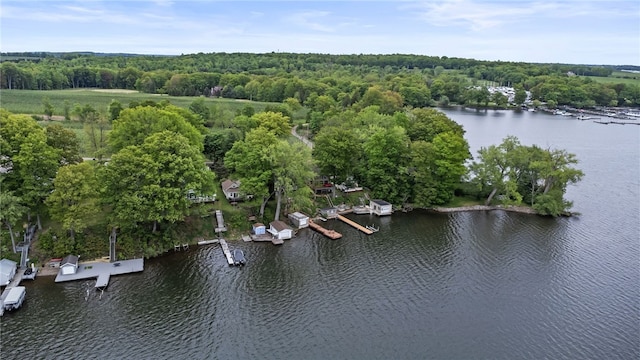 6525 Bonnie Castle Rd, Huron, NY 14590 - view of property location featuring a large body of water and a forest