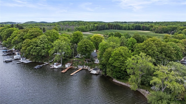 6525 Bonnie Castle Rd, Huron, NY 14590 - aerial view of property and surrounding area featuring a nearby body of water and a heavily wooded area