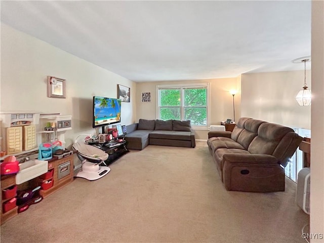 8304 Radian, Clay, NY 13027 - living room with carpet floors