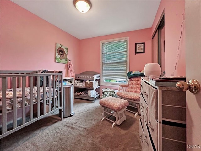 8304 Radian, Clay, NY 13027 - view of carpeted bedroom