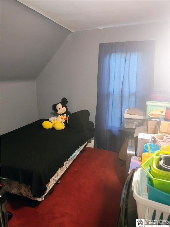 601 Falconer St, Jamestown, NY 14701 - bedroom with vaulted ceiling