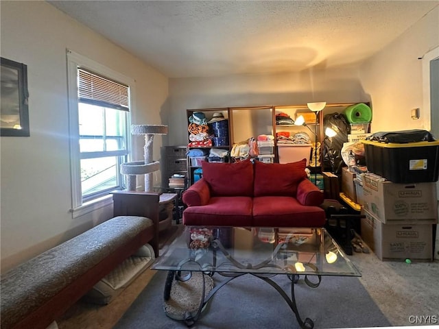 2958 Mill Pl, Paris, NY 13456 - photo 34