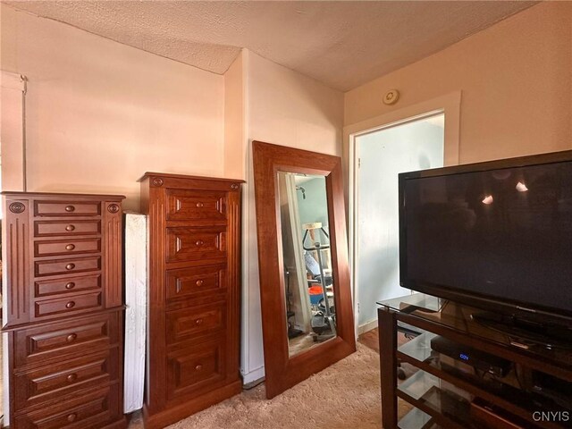 2958 Mill Pl, Paris, NY 13456 - photo 35