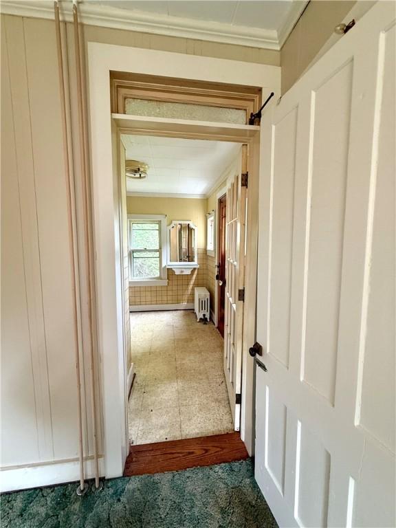9 Weidman St, Unadilla, NY 13849 - hall featuring radiator heating unit, crown molding, and carpet flooring