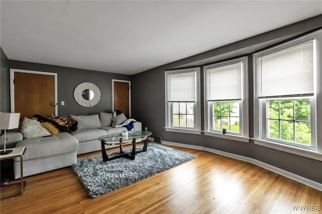163 Shepard Ave, Tonawanda-Town, NY 14217 - living area with healthy amount of natural light, wood finished floors, and baseboards