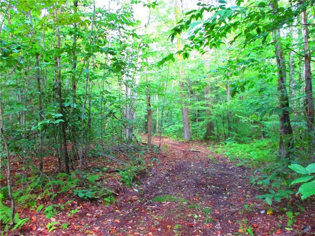 0 Campbell Hill Rd, Middlefield, NY 13326 - photo 5