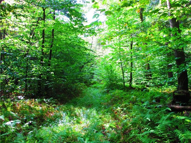 0 Campbell Hill Rd, Middlefield, NY 13326 - photo 6