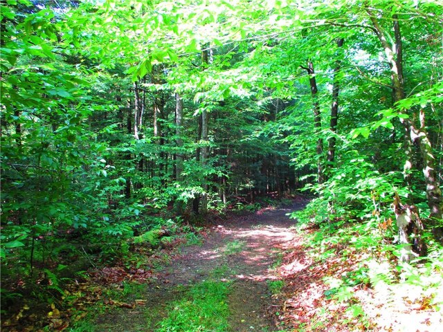0 Campbell Hill Rd, Middlefield, NY 13326 - photo 7