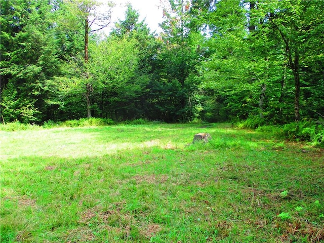 0 Campbell Hill Rd, Middlefield, NY 13326 - photo 8
