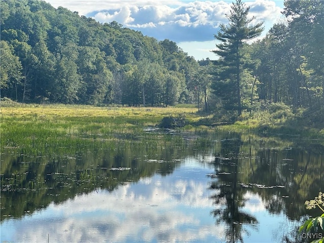 Graham Rd, Pitcairn, NY 13648