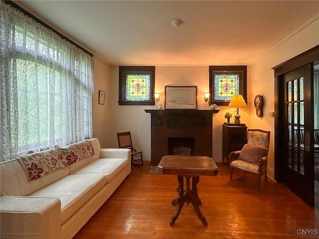 169 Pleasant St, Utica, NY 13501 - living room with healthy amount of natural light, a fireplace, and wood finished floors