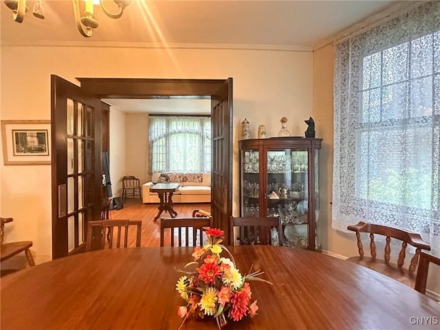 169 Pleasant St, Utica, NY 13501 - dining room with wood finished floors and ornamental molding