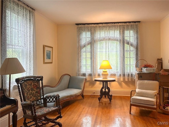 169 Pleasant St, Utica, NY 13501 - living area featuring wood finished floors, plenty of natural light, and baseboards