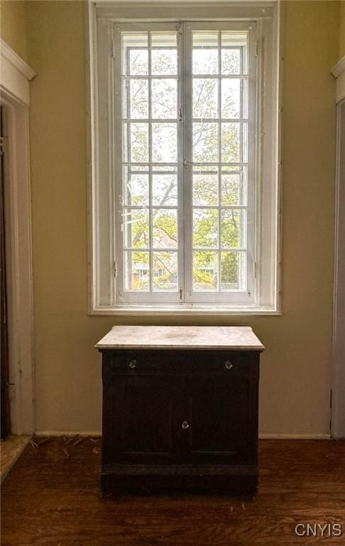 169 Pleasant St, Utica, NY 13501 - detailed view of wood finished floors